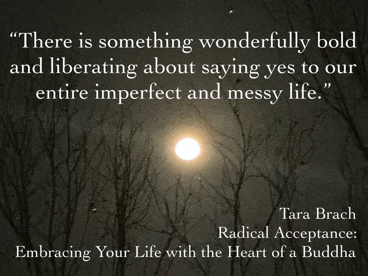 danielle reich 🎶 tweet media