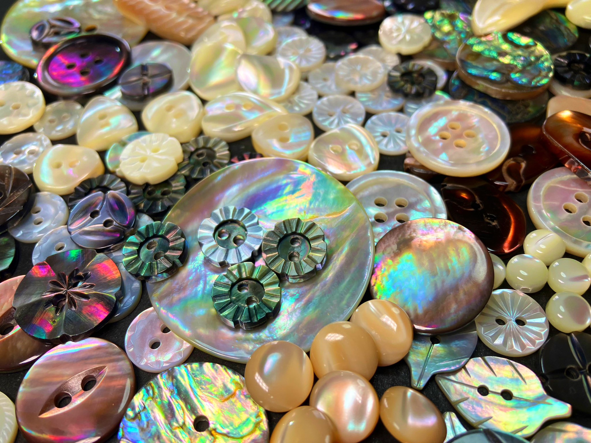 釦屋 Azuki shell Button on X: 