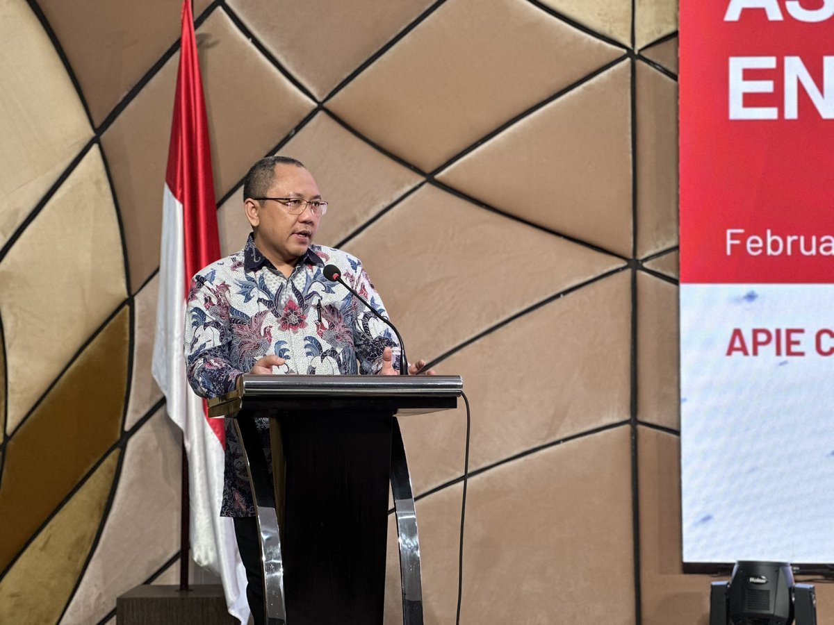 APIE Program tweet media