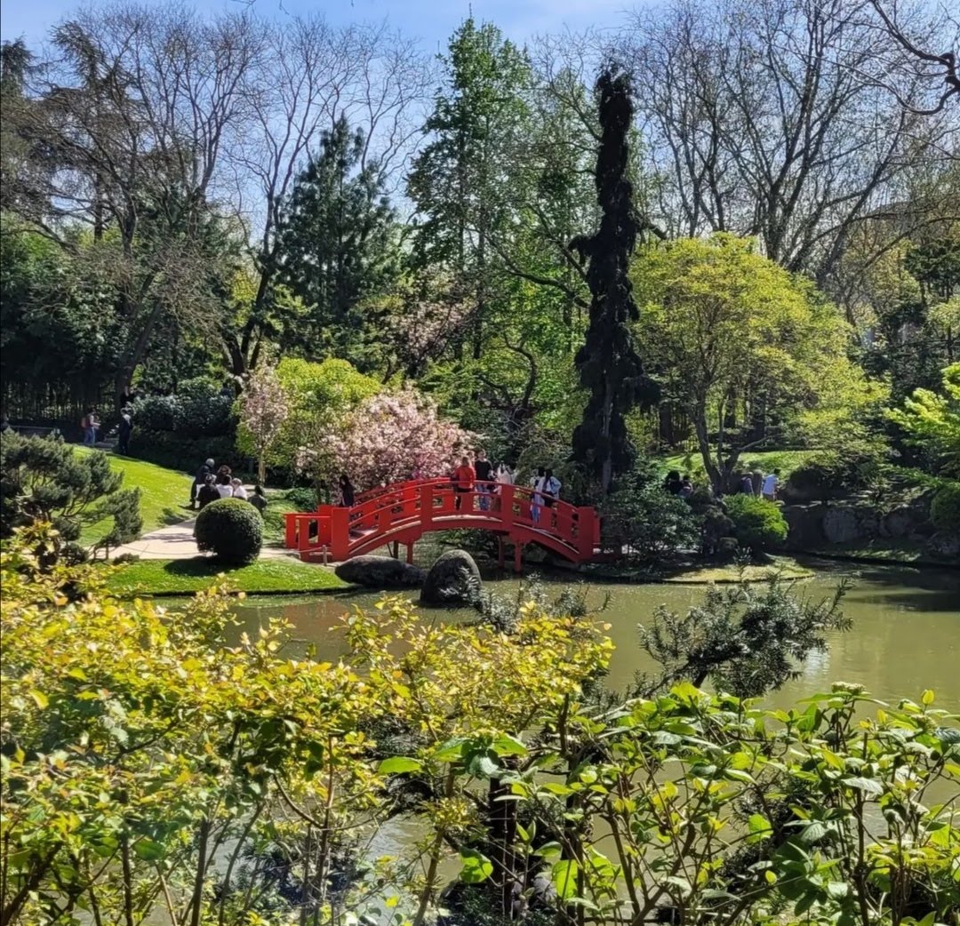 Sandrin3105's tweet image. Challenge photo a day 2025 -  10 février 
 J comme...Jardin japonais 
#fmspad