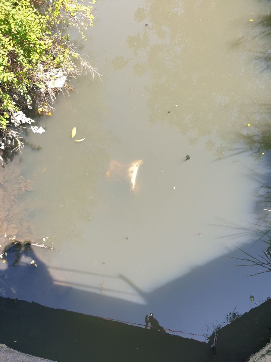 Zaki Zainudin tweet media