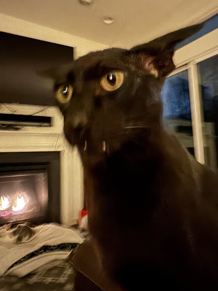 Insomnia brings me to X to post a pic