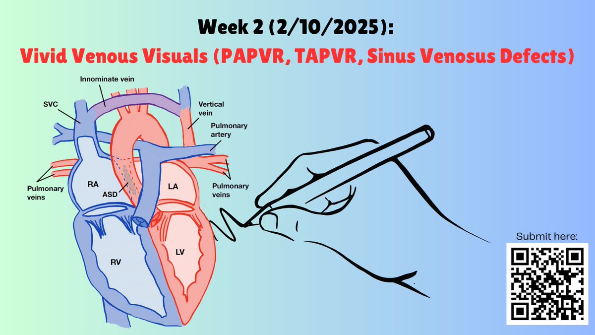 Claire Cambron (@clairecambron) on Twitter photo Week ✌️ of <a href="/CardioNerds/">CardioNerds</a> Creations is here! 🎨
We have seen some AMAZING #ACHD illustrations so far. Let's keep the trend going as we focus on ✨Vivid Venous Visions.✨
<a href="/RawanAAmir/">Rawan Amir</a> <a href="/AmitGoyalMD/">Amit Goyal MD MAS</a> <a href="/jsaef1/">Josh Saef</a> <a href="/T_GuptaMD/">Tripti Gupta</a> <a href="/ThomasMDas/">Tommy Das, MD</a> <a href="/Dr_DanMD/">Daniel Ambinder, MD</a> Week ✌️ of <a href="/CardioNerds/">CardioNerds</a> Creations is here! 🎨
We have seen some AMAZING #ACHD illustrations so far. Let's keep the trend going as we focus on ✨Vivid Venous Visions.✨
<a href="/RawanAAmir/">Rawan Amir</a> <a href="/AmitGoyalMD/">Amit Goyal MD MAS</a> <a href="/jsaef1/">Josh Saef</a> <a href="/T_GuptaMD/">Tripti Gupta</a> <a href="/ThomasMDas/">Tommy Das, MD</a> <a href="/Dr_DanMD/">Daniel Ambinder, MD</a>