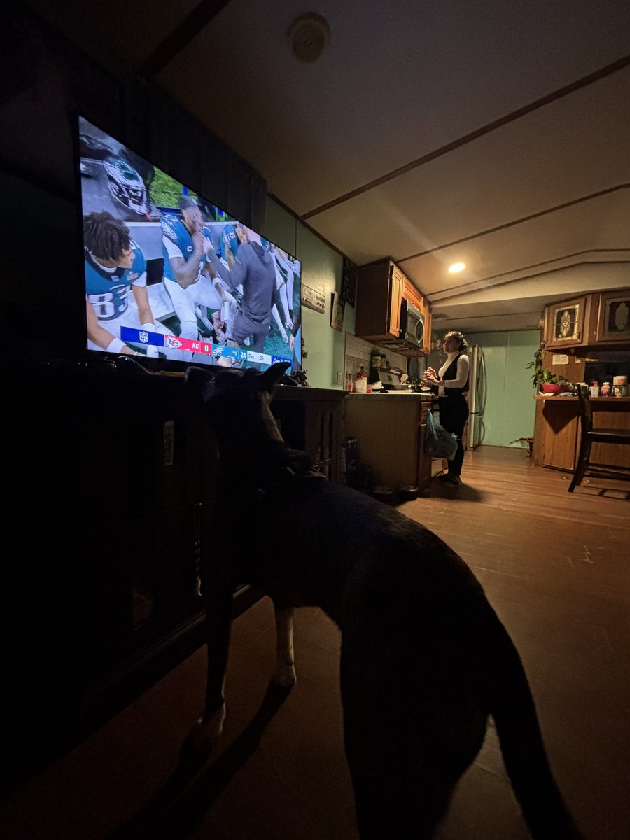 RedRosie13's tweet photo. Draco also enjoying the game w/ us! He's also thinking what we're all thinking " Chief's
Needa tighten up! " #SBLIX  #SuperBowl #Cheifs https://t.co/HkQVHqeSuZ