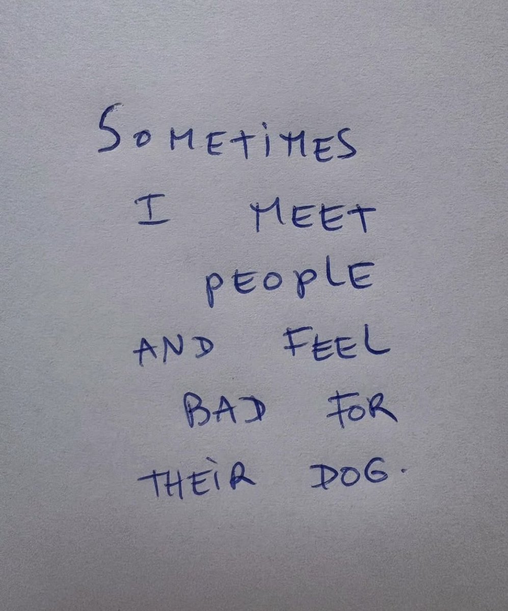 introvert memes (@introvertsmemes) on Twitter photo 