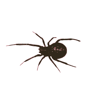 BLVCKWlD0W's tweet photo. ⠀⠀⠀⠀𖤐 ໋ the ⠀𝖽𝗲𝘃𝗂𝗹 ⠀is 𝑟𝑒𝑎𝑙
⠀⠀⠀⠀𝙖nd ⠀shⲉ ⠀us𝙚d ⠀⠀to
⠀⠀⠀⠀be ⠀ִ ／⠀ 𝙜od’s ⠀𝑓𝑎𝑣ourite https://t.co/V12yBUAGF7