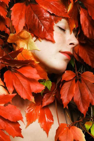 Banquozghost's tweet image. at peace

among Autumn leaves

modesty intact

#vss365 #modesty #sevenwords 

photo: Vanity Fair - Italia 2018