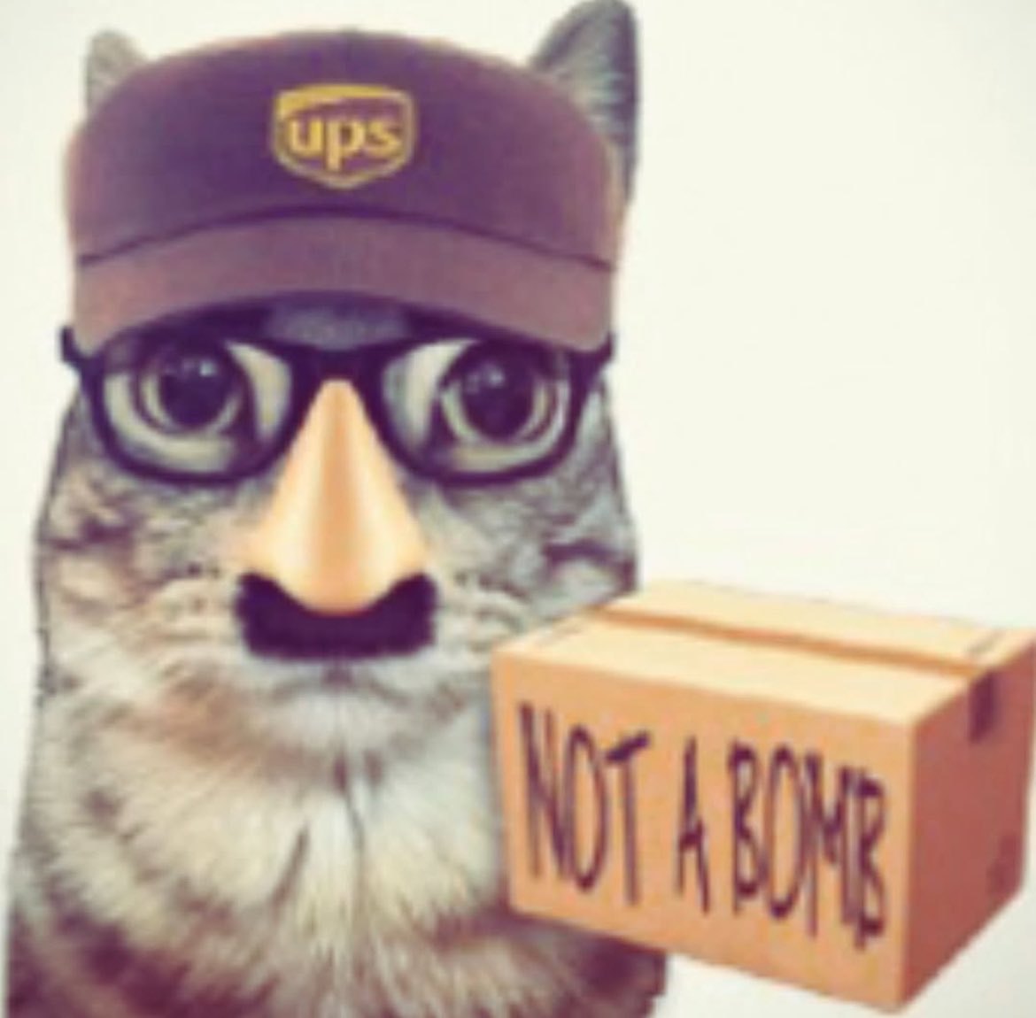 vincenzo tweet media