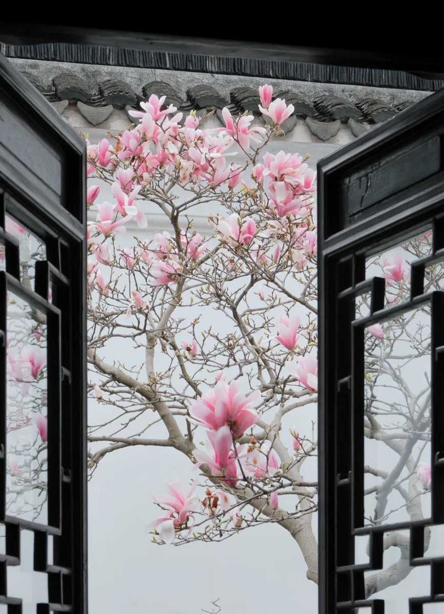 SweetIn48383's tweet photo. 一起来看春和景明🌸 https://t.co/0hUHG0I8mQ