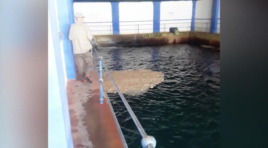 diariodecuba's tweet image. Un derrame de cachaza en el Central Boris Luis Santa Coloma contaminó fuentes de abasto en #Matanzas, complicando aún más el suministro de #agua en la ciudad, ya afectada por apagones de más de 15 horas.

Según el #CITMA, el incidente fue causado por &quot;varios factores&quot;, incluyendo…