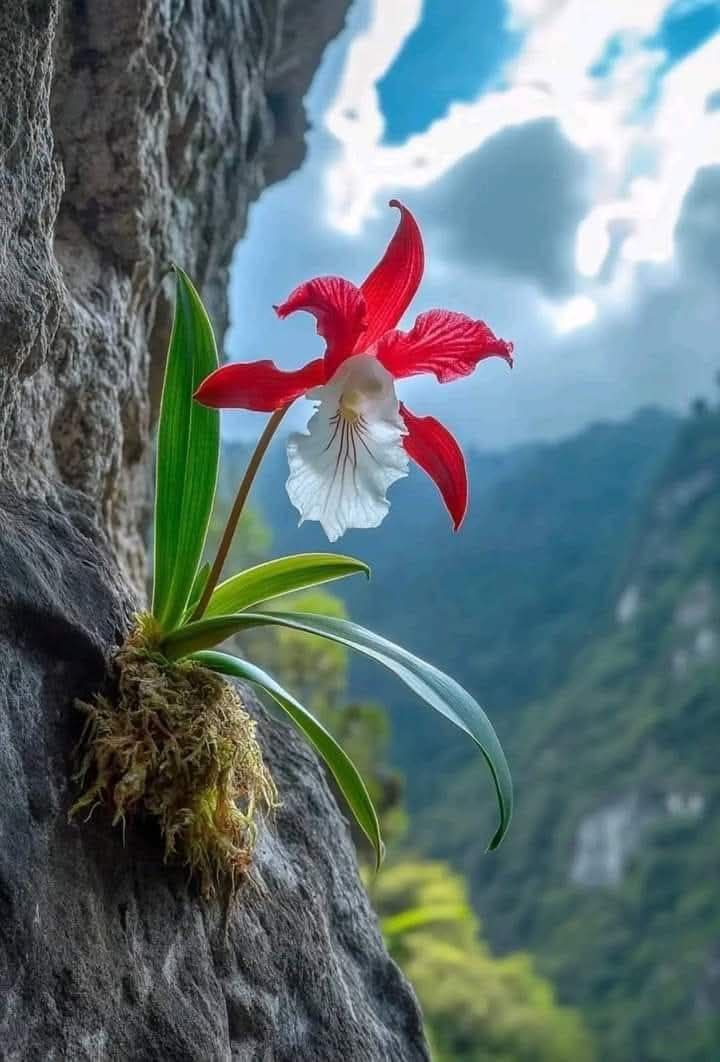 பேச்சையும், உணவையும்
அவை சுவையாக
இருக்கும்போதே..

போதும்.. என்று
நிறுத்திக்கொள்ள
வேண்டும்!

இனிய காலை வணக்கம்....!!