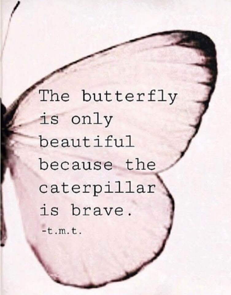Sarah Kelty (@sarahkelty3) on Twitter photo 