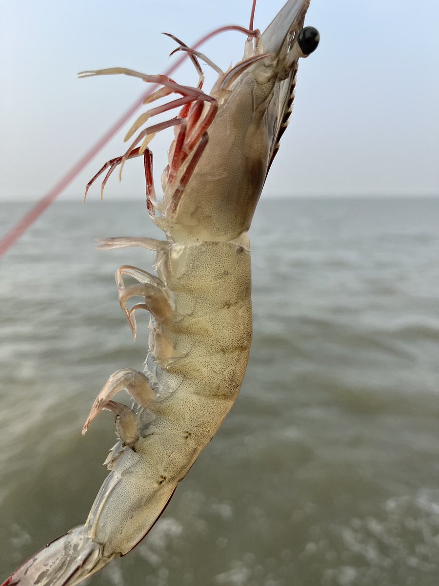 jinluperlayan's tweet image. Today, we set sail together! Let the ocean breeze and rolling waves fuel our teamwork.                                                         Whatsapp: +86 15231539236
Wechat: 15231539236
Email: jinluts@gmail.com
 #stonecrusher #constructionsand #sandmakingmachine