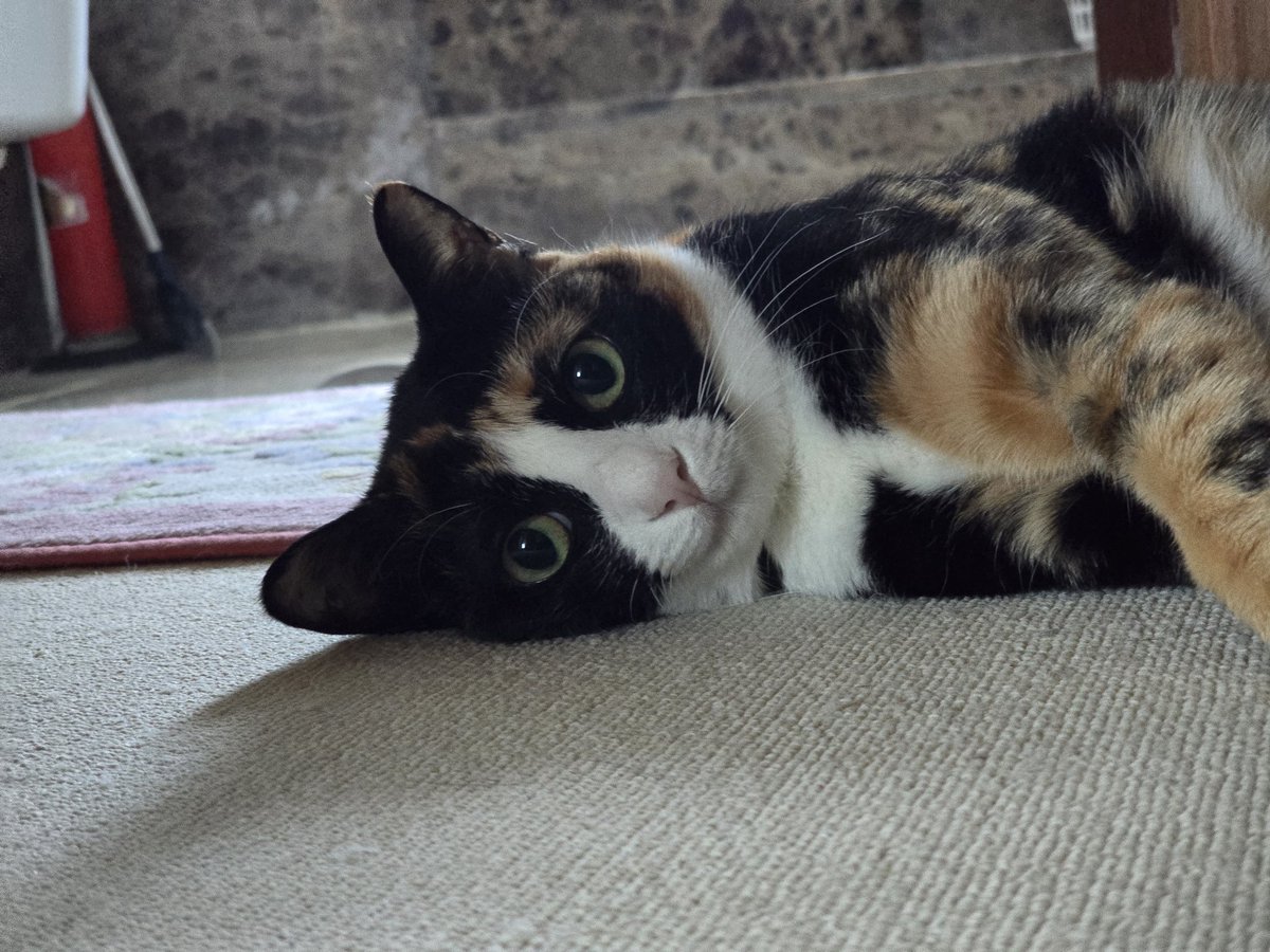 선생님!! 괜찮으세요!?!?!!? 헐레벌떡
음... 괜찮으신듯