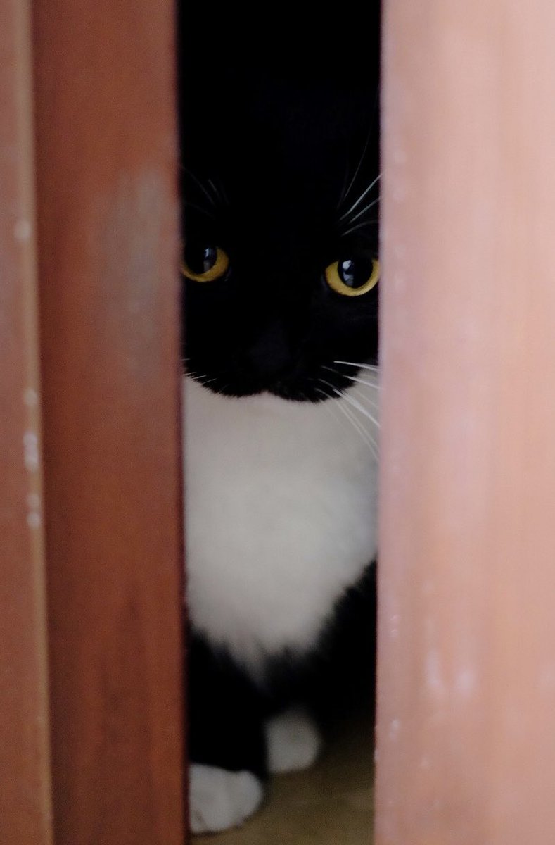 I'm here :3

ここにいるよ