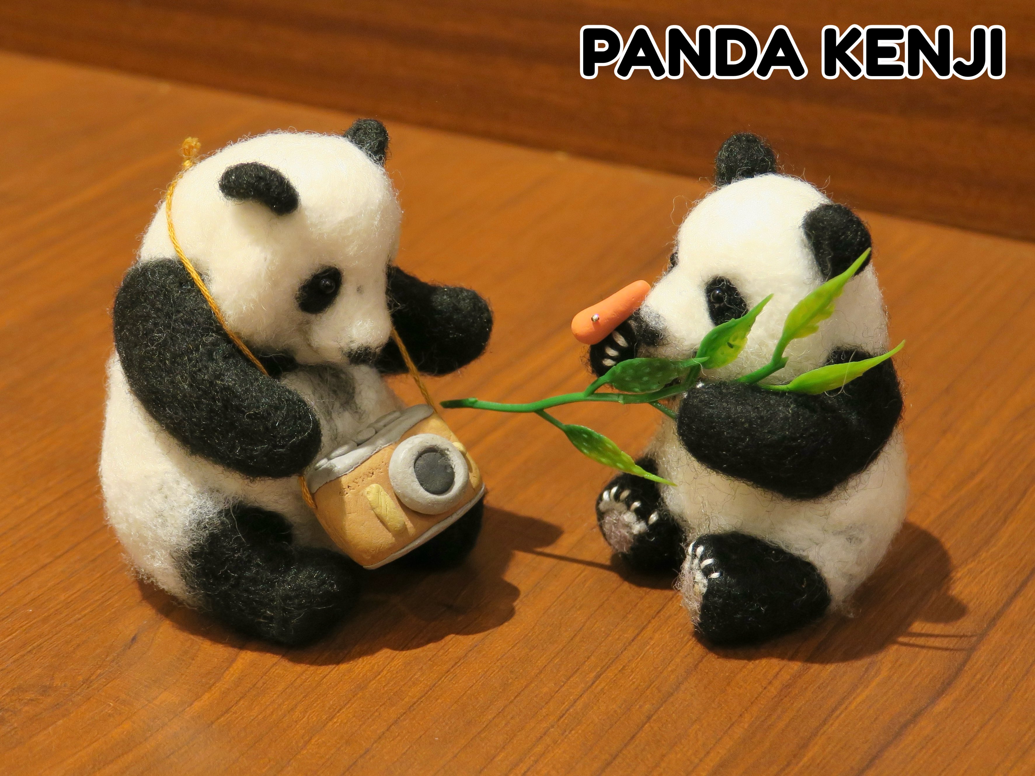 PANDA MOON (@YoshikoMoon4) / X PANDA MOON (@YoshikoMoon4) / X