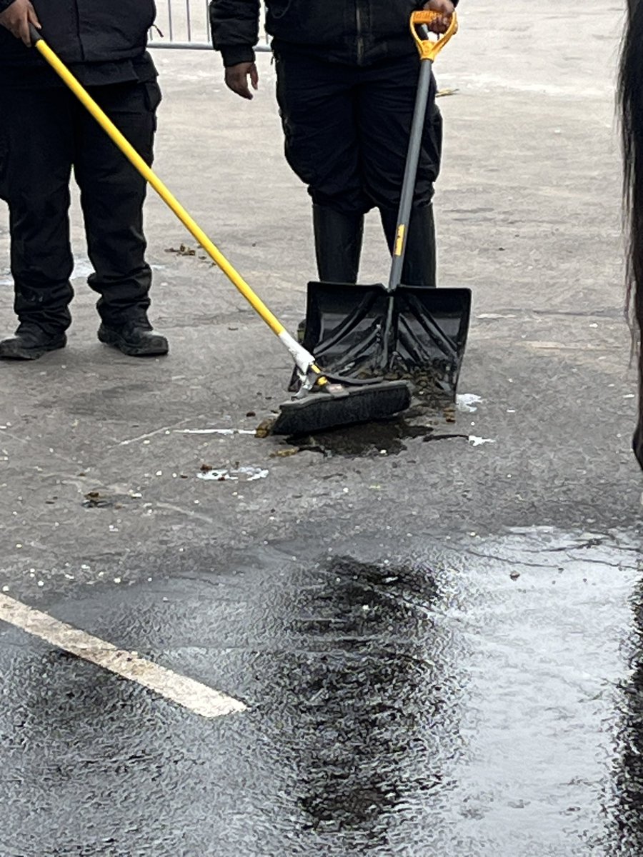 Mitch_Tischler's tweet image. Congrats to the Eagles, my only piece of solace is no doubt Philly fans will embarrass themselves, the city and the NFL celebrating over the next few days