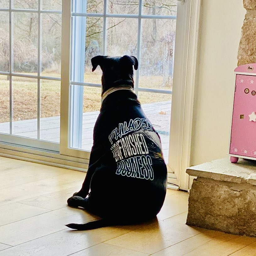 fuinhaz's tweet image. #EaglesNation 🦅