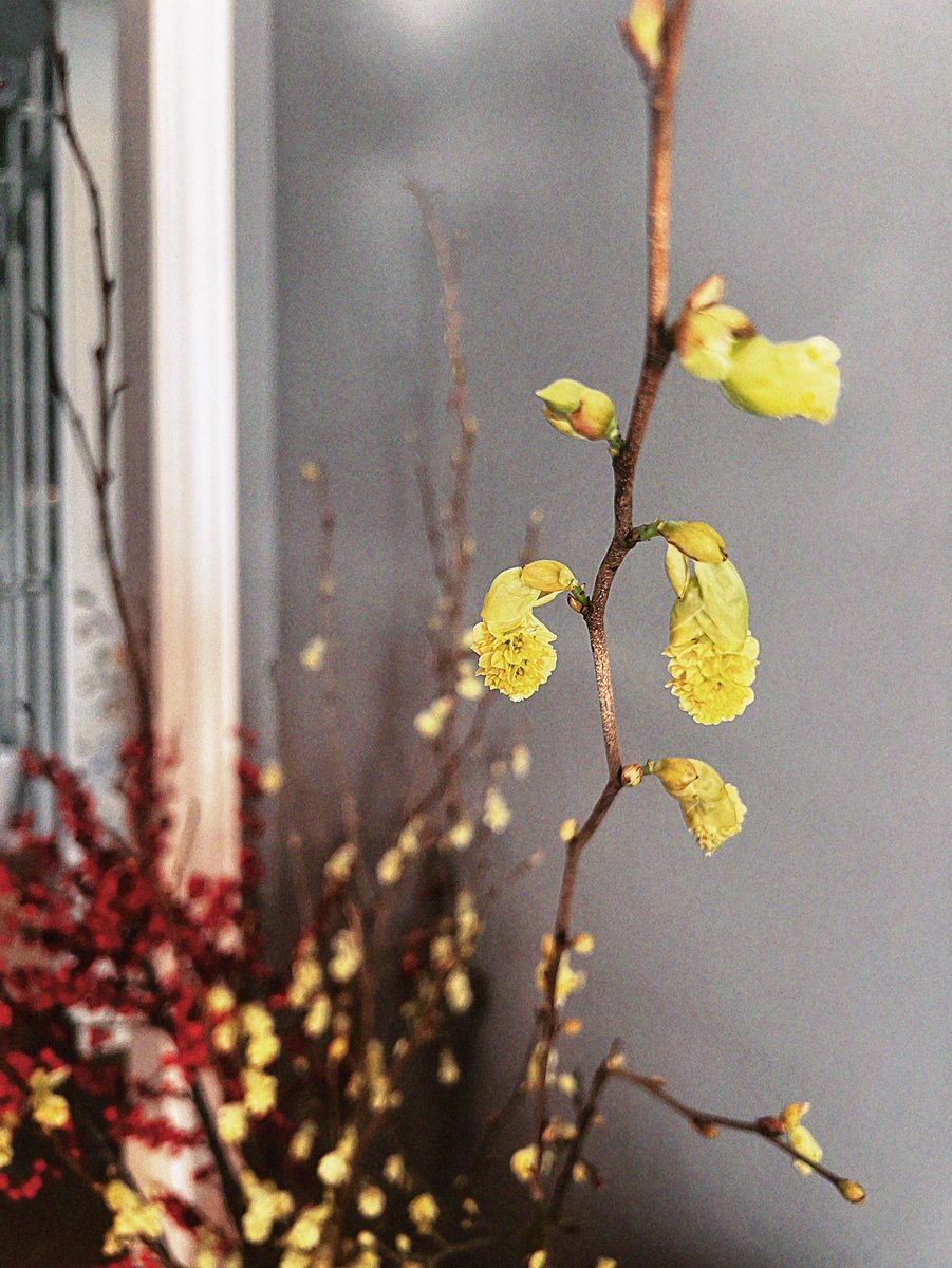 “我们都要做好梦，等醒来时就是春天了”