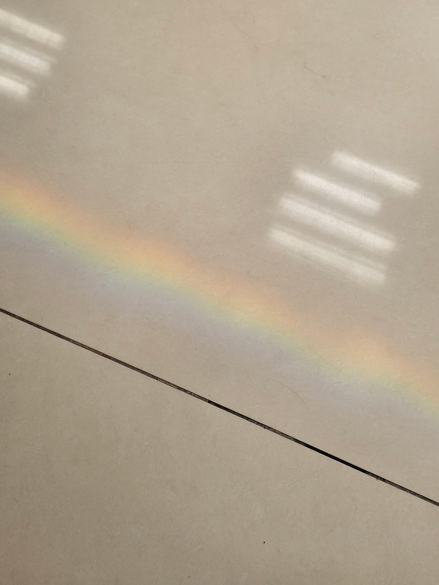 주의 시작..월요일 오후 🌈 무지개가🌈