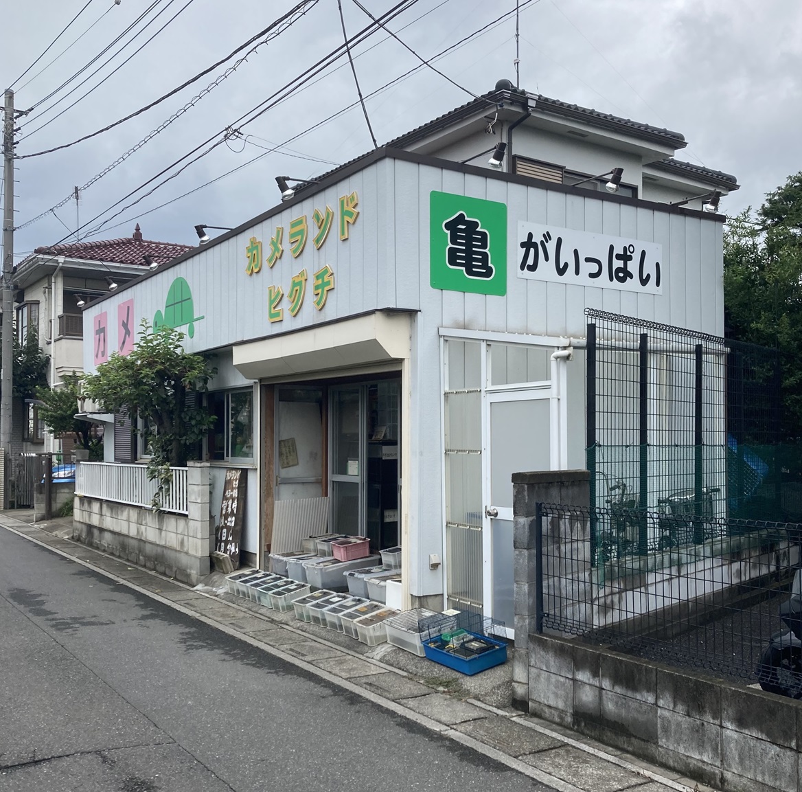 昨日…吹上方面に用事があり、帰りに時間が出来たので急遽ひぐってきました (画像は以前のもの💦)。お店を出ると、そこには<a href="/kame_mituune/">じゃいまる</a>さんとご同行の方が。初めましてのハンターさんでした。尚、自分と一緒に居たのは若い嫁でも愛人でもなく…実の娘です。😅