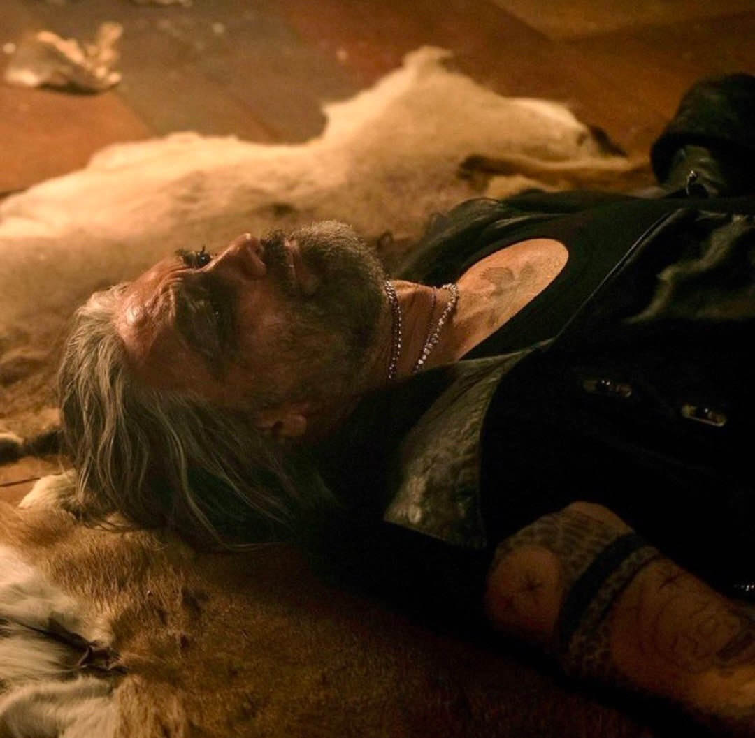 fernfronds 🌿🏳️‍🌈🏴‍☠️ tweet media