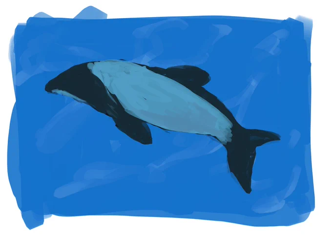 水族館に行ってきた