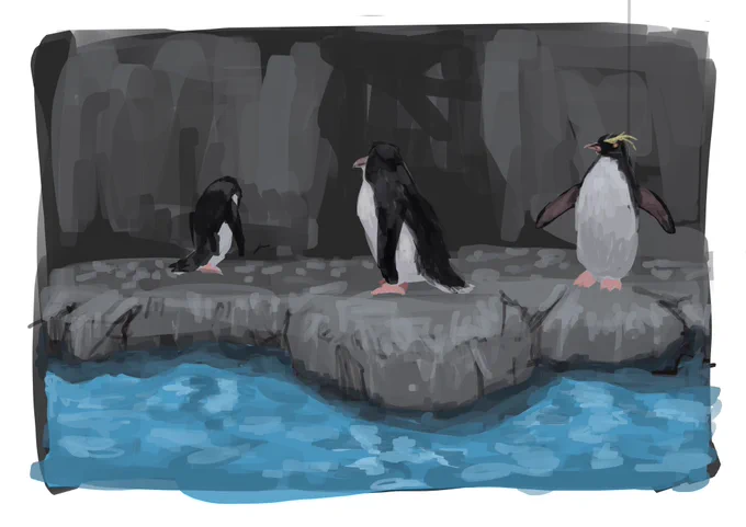 水族館に行ってきた