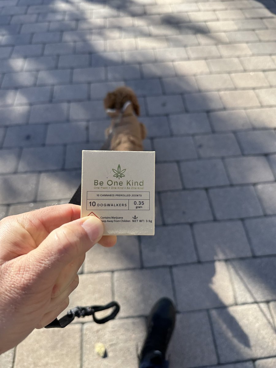 Be_One_Kind's tweet image. Taking my dog out for a walk… but don’t worry, I’ve got the real essentials! 🐕 🐾
A Be One Kind Dogwalker pack of 10 mini joints with matches—because sometimes I’m the one who needs a treat on these walks! 😂 #Dogwalkers #BeOneKind #PerfectWalk”