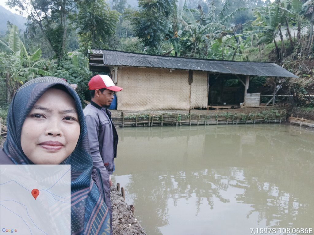 fit_nurlestari's tweet photo. Kamis (06/02), Fitria Nur Lestari, Luhkan Garut, di Pokdakan Mekarjaya Ds Cinta, monitoring dan evaluasi perkembangan budidaya ikan nila siklus pertama bantuan percontohan TA 2024 #GiatLuhkanSatminkalbogor #KabGarut #Aktivitas
@brpbatpp_bogor
@pusluh_bppsdm
@bppsdm_kp https://t.co/0MbuJKxlwS
