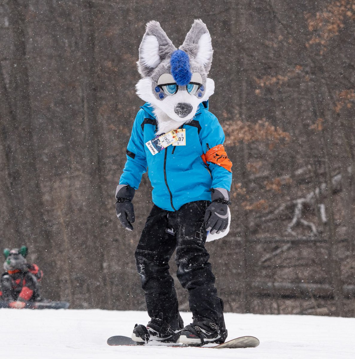 First time at <a href="/FurskiWI/">Furski</a> this year joining their photo team! Super fun con for those of y'all animals who love to ski or snowboard, highly recommend it! 

#photography #furryartist #furryfandom #furry #snowboarding #FursuitEveryday