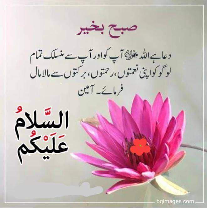 کوئی چاھے کتنا ہی خوبصورت کیوں نہ ہو ۔۔اگر وہ مخلص نہیں تو فقط کچرا ہے ۔۔۔۔
#اردو_زبان