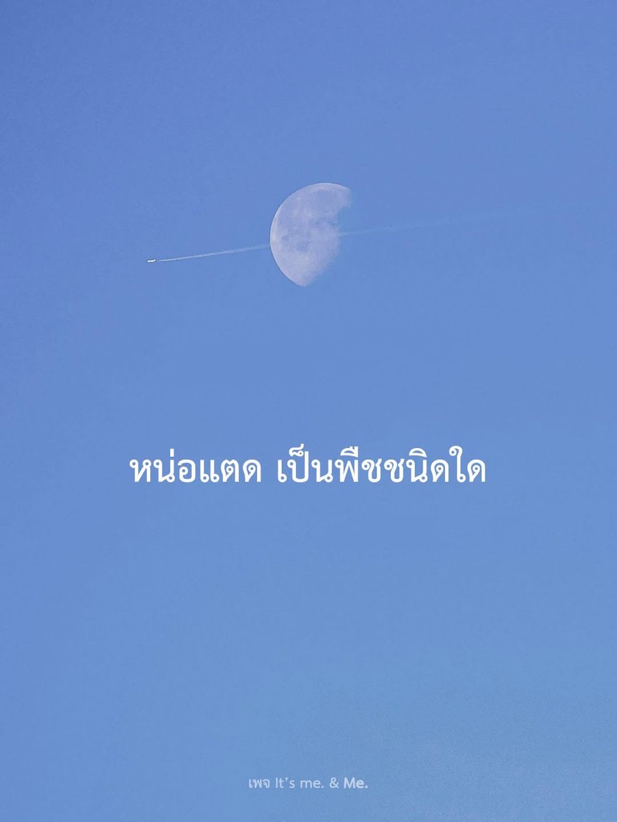 Byr S. tweet media
