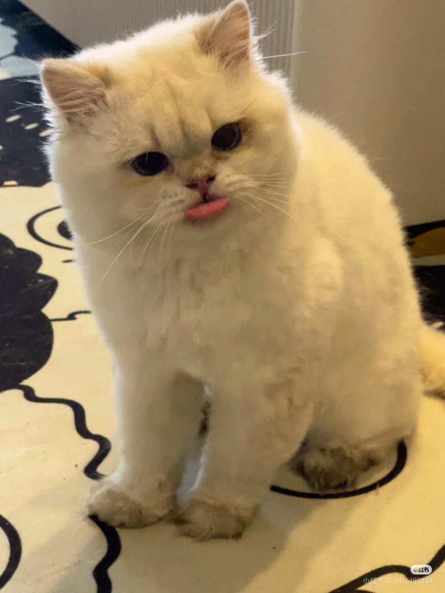 :p