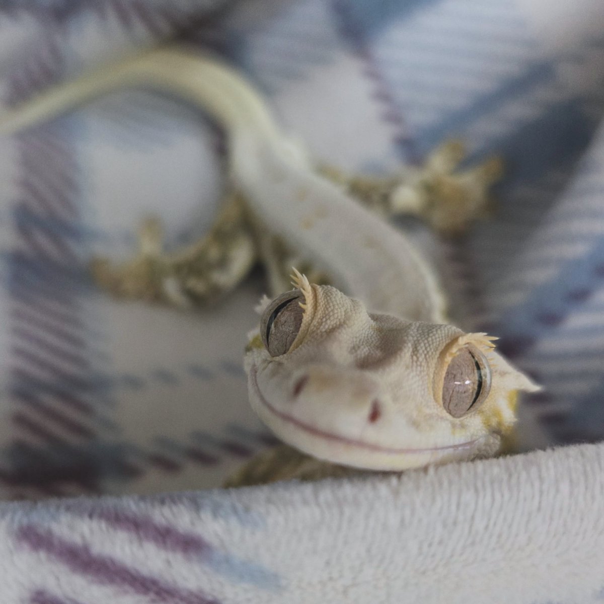 다들 잘 지내시나요?