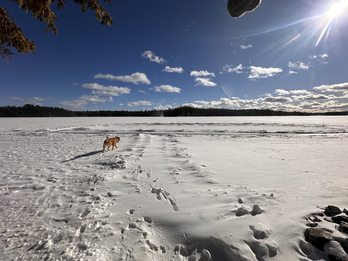Deb Lawlor (she/her) tweet media