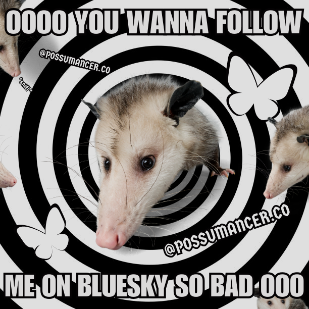 Possumancer tweet media