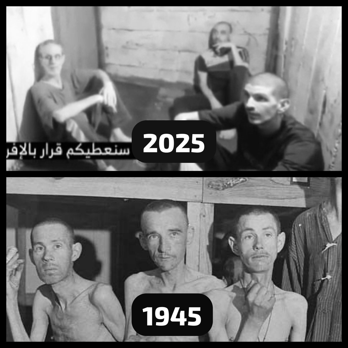 Jane Pounder (@pounderjane1) on Twitter photo <a href="/FranceskAlbs/">Francesca Albanese, UN Special Rapporteur oPt</a> You have no credibility left. The sight of three pitiful starving Jews last week told the world all it needs to know. You are evil <a href="/FranceskAlbs/">Francesca Albanese, UN Special Rapporteur oPt</a> You have no credibility left. The sight of three pitiful starving Jews last week told the world all it needs to know. You are evil