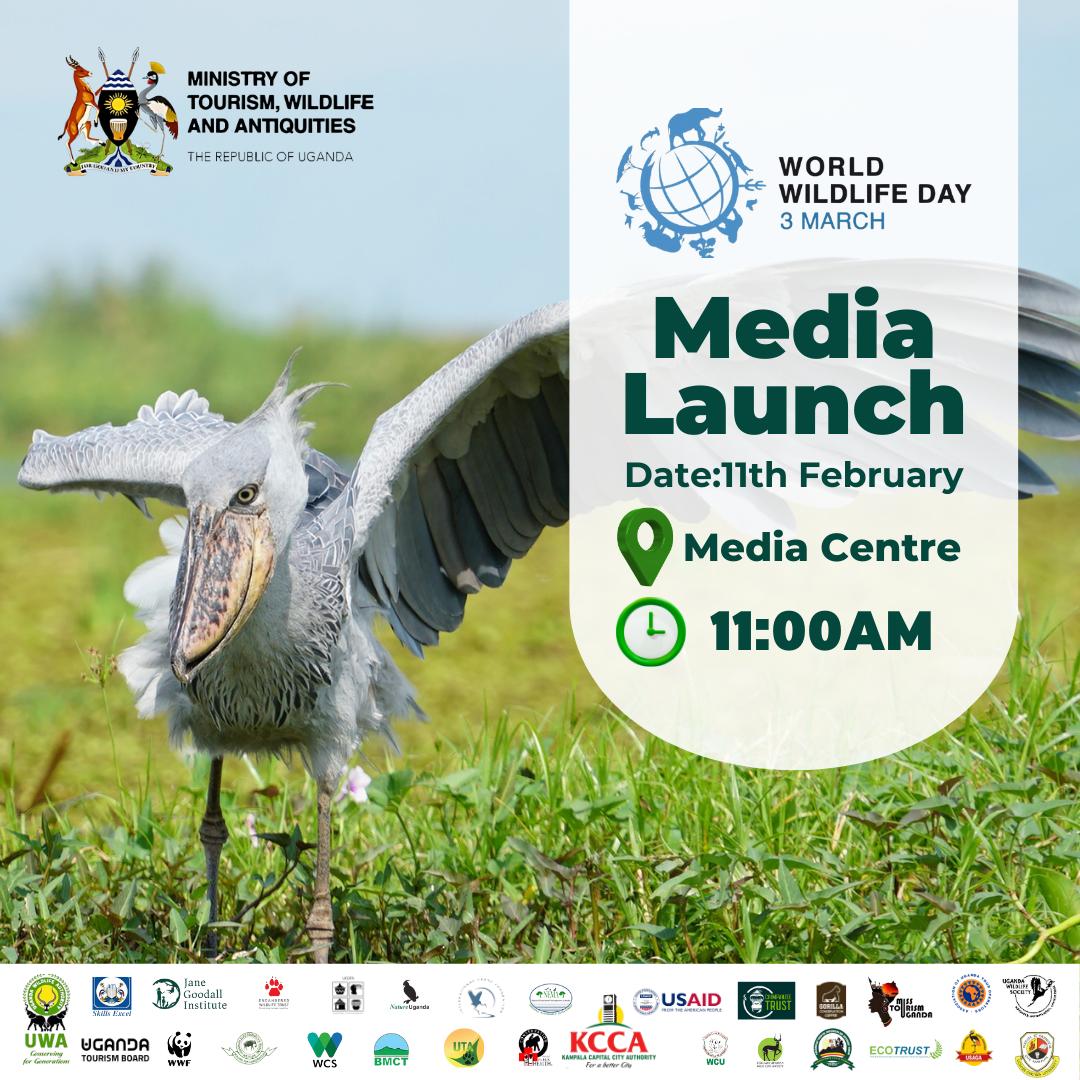 Ministry of Tourism-Uganda (@mtwauganda) on Twitter photo As we gear up for #WWD2025 celebrations slated for 3rd March 2025 in Lira District, we invite Media,stakeholders,MDAs,partners,<a href="/PSF_Uganda/">Private Sector Foundation Uganda</a> & the general public to join us for the launch on Tuesday 11am,11th February 2025 <a href="/UgandaMediaCent/">Uganda Media Centre</a>. Join us for this vital conservation & As we gear up for #WWD2025 celebrations slated for 3rd March 2025 in Lira District, we invite Media,stakeholders,MDAs,partners,<a href="/PSF_Uganda/">Private Sector Foundation Uganda</a> & the general public to join us for the launch on Tuesday 11am,11th February 2025 <a href="/UgandaMediaCent/">Uganda Media Centre</a>. Join us for this vital conservation &