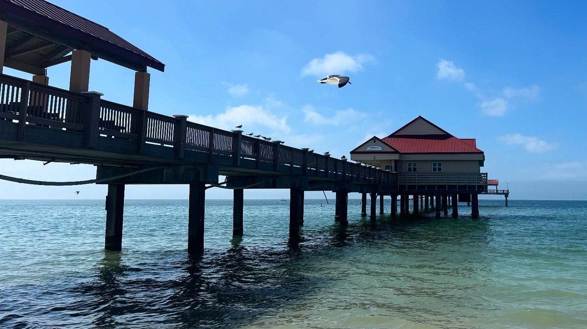 Skunk Ape Events tweet media