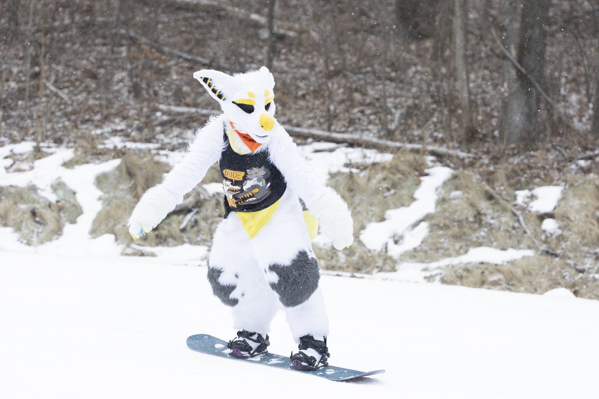 Taking on the slopes at <a href="/FurskiWI/">Furski</a> 🏂🔥
#fursuit #manokitfursuit #femalefursuiter