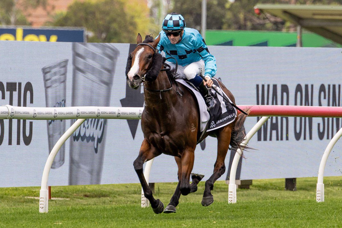 TFI Thoroughbreds (@tfi_racehorses) on Twitter photo BLITZBURG 💎 will travel to Melbourne later this week with the intention of being a late entry for the Blue Diamond <a href="/JChilds47/">Jordan Childs</a> is confirmed to take the ride. <a href="/ArrowfieldStud/">Arrowfield Stud</a> <a href="/kiaorastud/">Kia Ora Stud</a> @GRyanRacing 💎 BLITZBURG 💎 will travel to Melbourne later this week with the intention of being a late entry for the Blue Diamond <a href="/JChilds47/">Jordan Childs</a> is confirmed to take the ride. <a href="/ArrowfieldStud/">Arrowfield Stud</a> <a href="/kiaorastud/">Kia Ora Stud</a> @GRyanRacing 💎