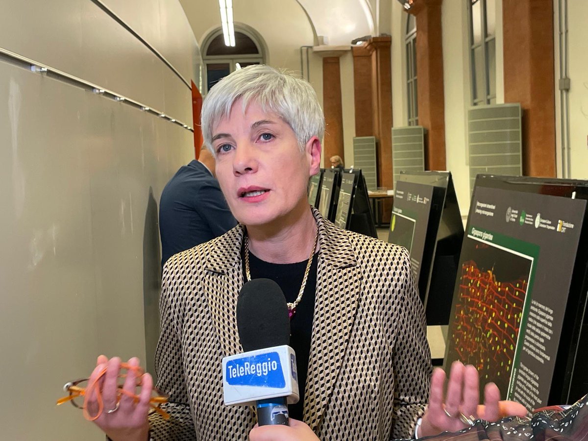 Sus Mirri tweet media