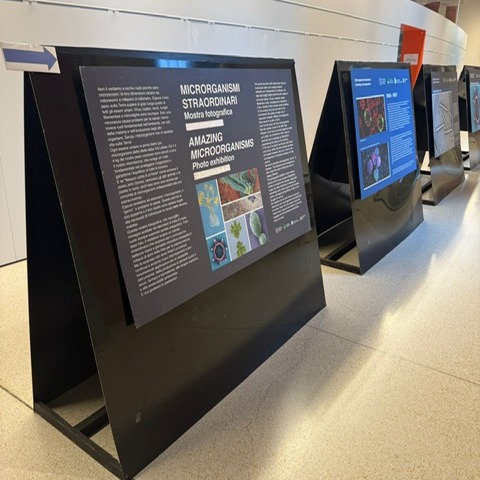 Sus Mirri tweet media