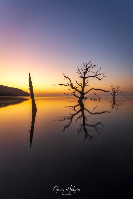 Gary Holpin | Photography tweet media
