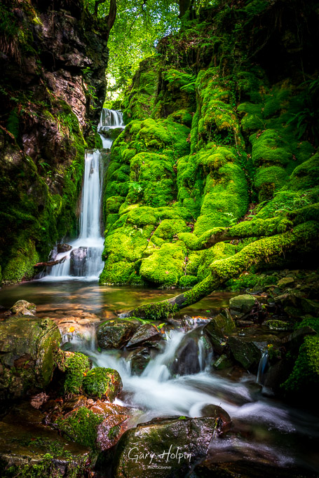 Gary Holpin | Photography tweet media