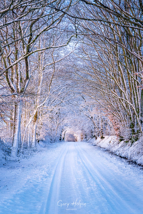 Gary Holpin | Photography tweet media
