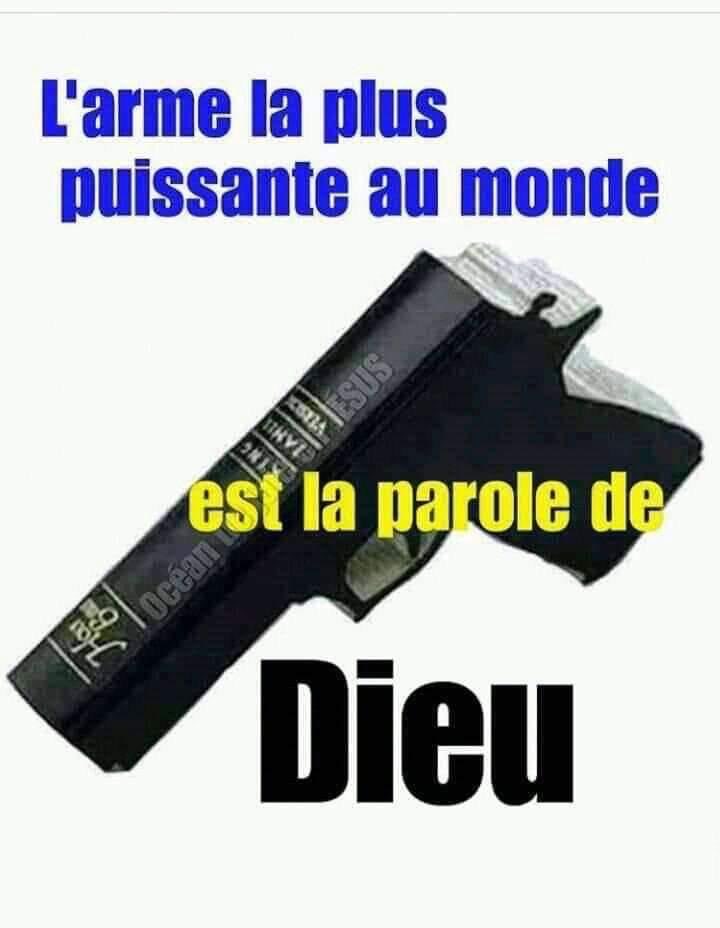 ShopBeaute's tweet image. 