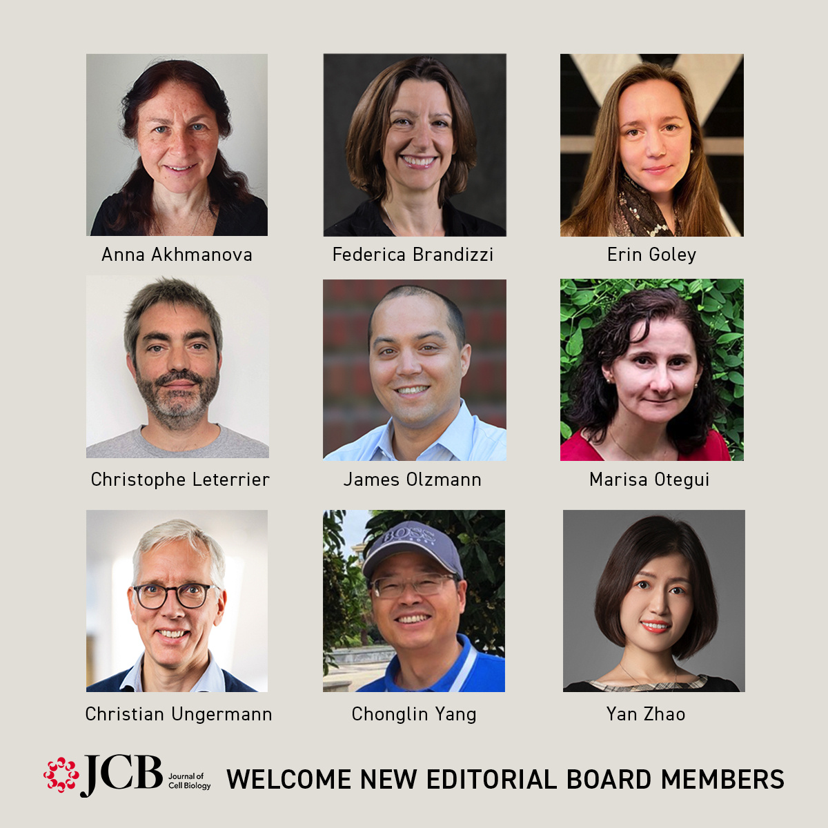 Journal of Cell Biology (@jcellbiol) on Twitter photo Join us in welcoming the newest members of the JCB editorial board: Anna Akhmanova, <a href="/msubrandizzilab/">Brandizzi Lab</a>, Erin Goley, <a href="/christlet/">Christophe Leterrier</a>, <a href="/OlzmannLab/">James Olzmann</a>, <a href="/MarisaOtegui/">Marisa Otegui</a>, Christian Ungermann, Chonglin Yang, and Yan Zhao. hubs.la/Q0352RD90 Join us in welcoming the newest members of the JCB editorial board: Anna Akhmanova, <a href="/msubrandizzilab/">Brandizzi Lab</a>, Erin Goley, <a href="/christlet/">Christophe Leterrier</a>, <a href="/OlzmannLab/">James Olzmann</a>, <a href="/MarisaOtegui/">Marisa Otegui</a>, Christian Ungermann, Chonglin Yang, and Yan Zhao. hubs.la/Q0352RD90