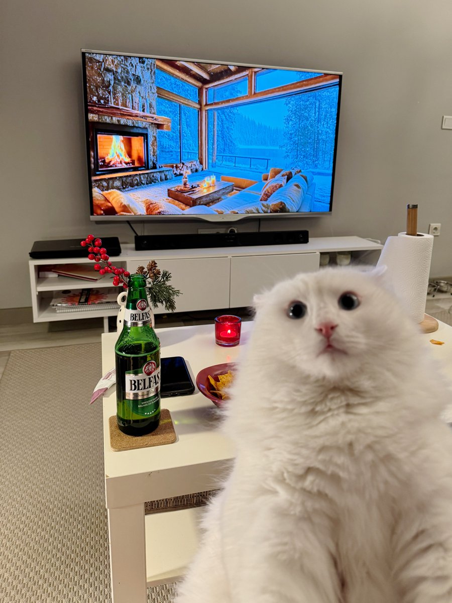 #DünyaKediGünü Kutlu olsun. Hadi herkes bi kedi fotosu yollasın ben başlıyorum. 🐈